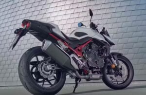 Honda CB750 Hornet Back